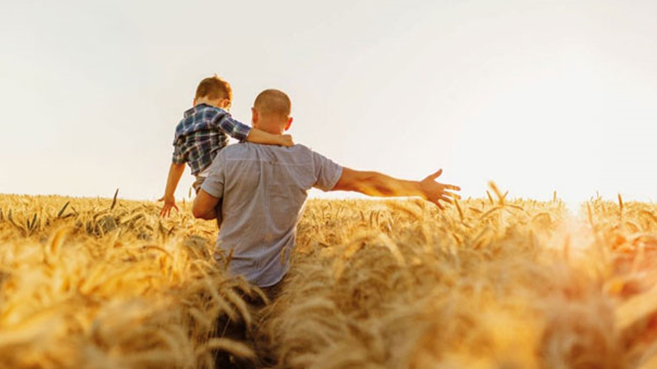Un homme portant son fils dans un champs de blé