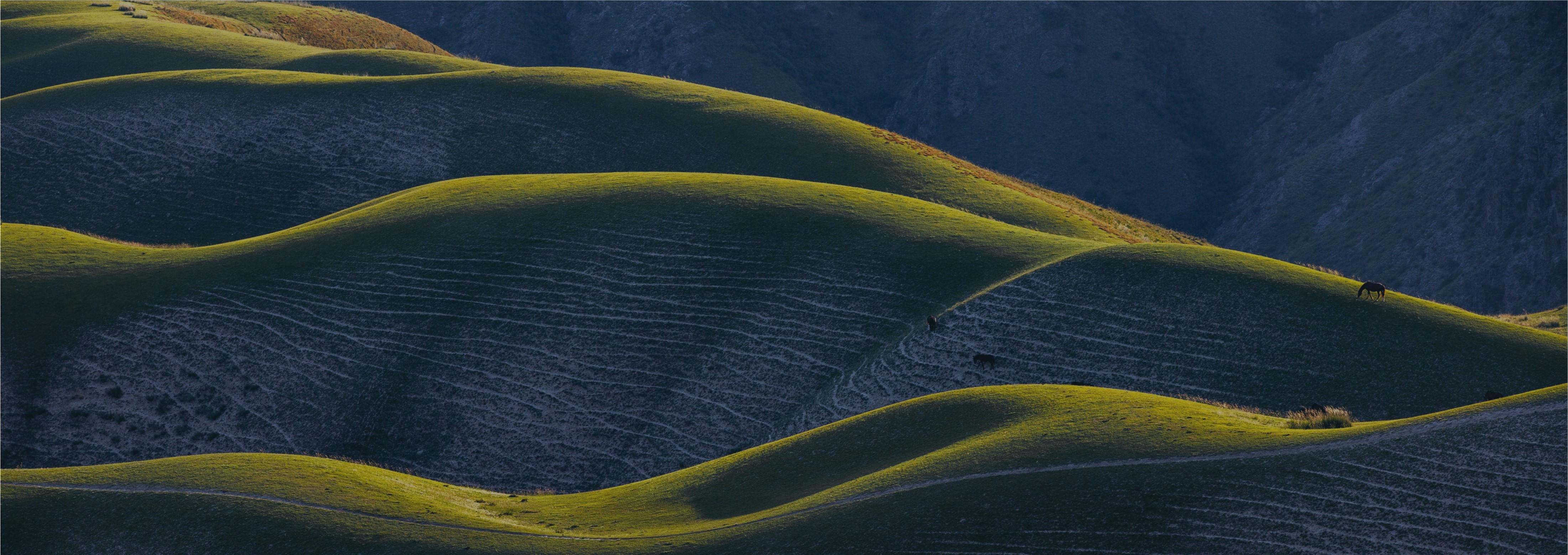 2026 investment themes