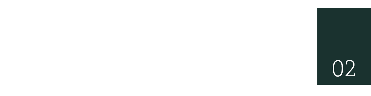 Beginning of the second section