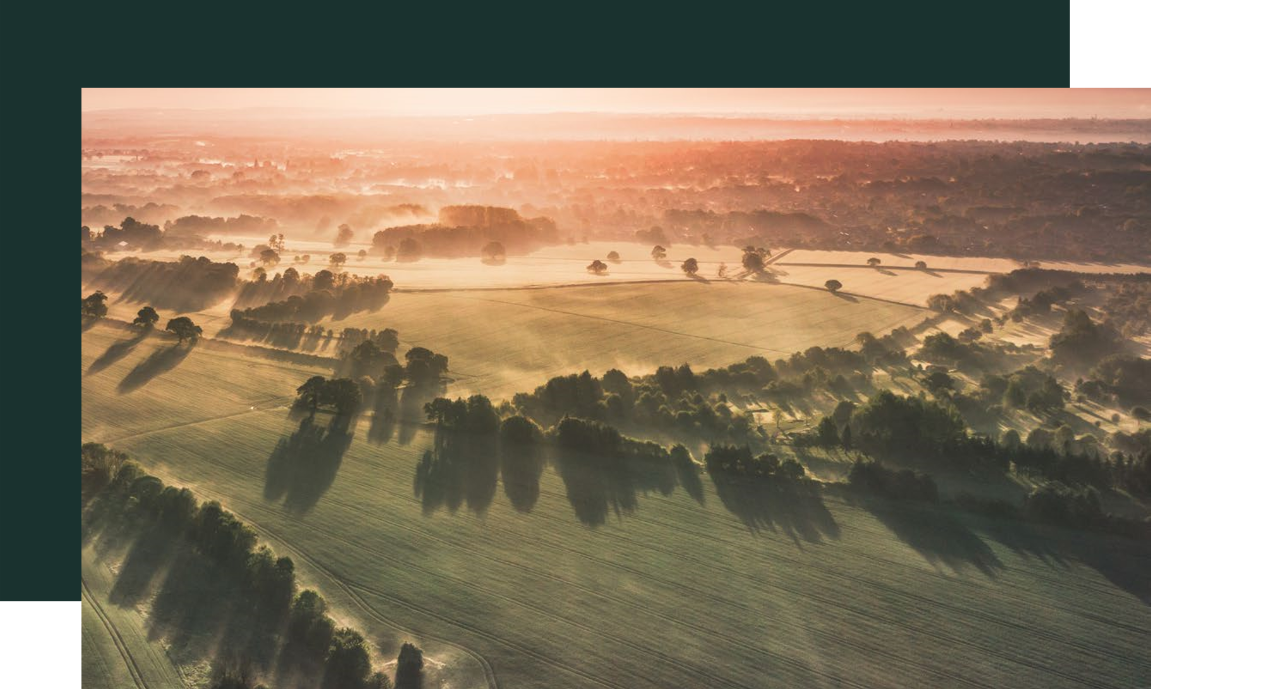 Un champ du marché agricole