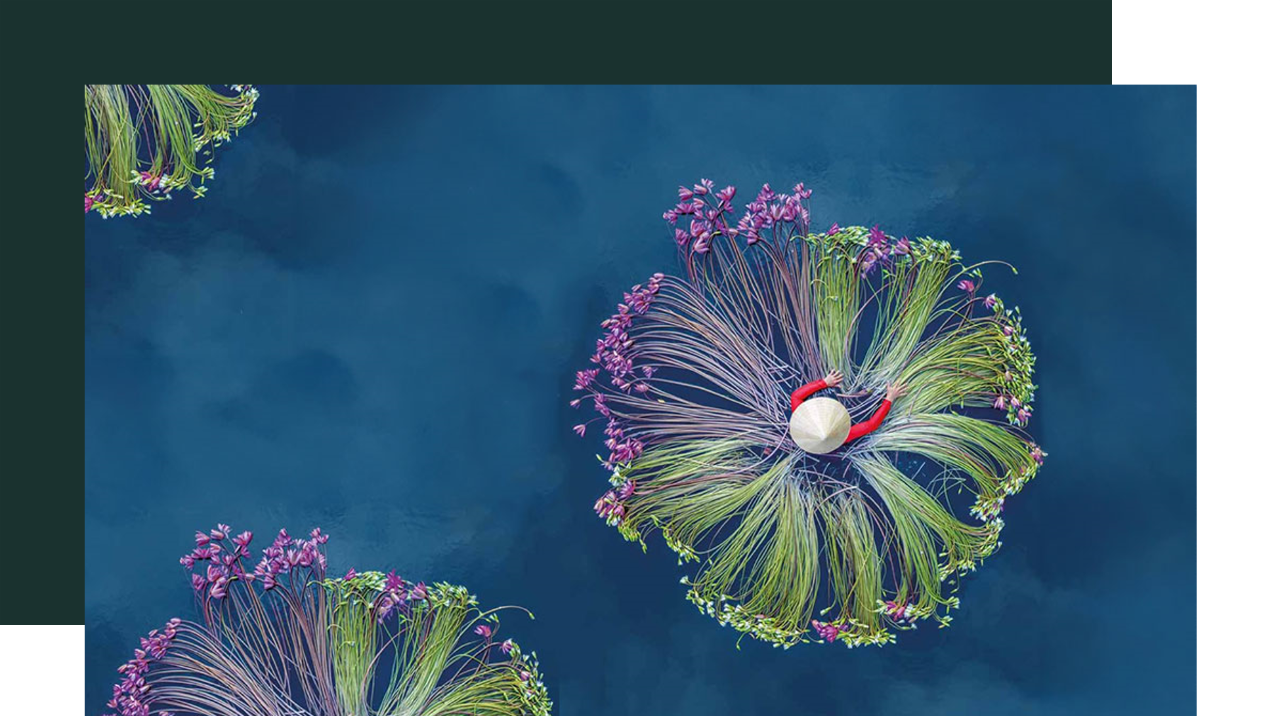 A person at the centre of a circle of flowers